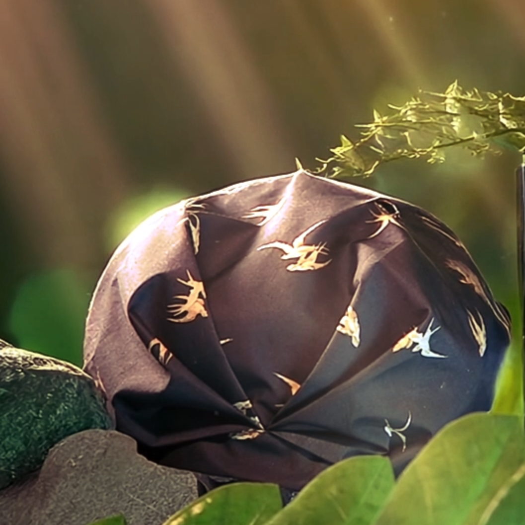 Why Sustainable Haircare Matters